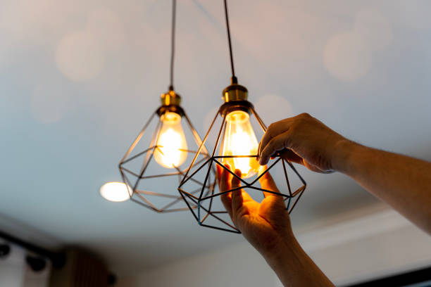 Best Affordable Electrician  in Lakeland, MN
